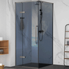 Alpha 1000mm Gunmetal Shower Door Kit Only with Black Tinted Glass - Square