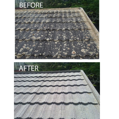 TDX Moss+Mould Algae & Lichen Remover 5L Trade Depot