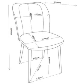 Euphoria Dining Chair - Set of 2 - Beige