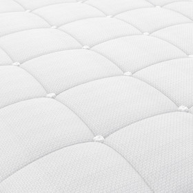 Classic Queen Bed Frame with Plush Mattress