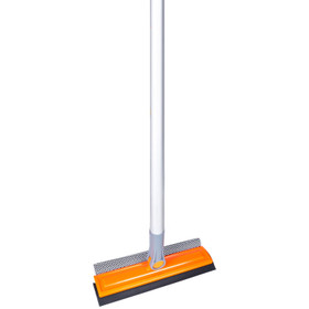 Window Cleaner 2 in 1 with Extendable Pole