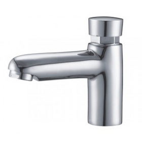 Stainless Steel Push-Button Faucet 1