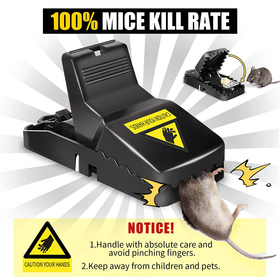 Reusable Mouse Trap 