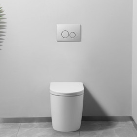 Saxony Intelligent Toilet Suite