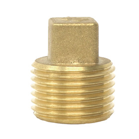 Brass Plug - 20mm