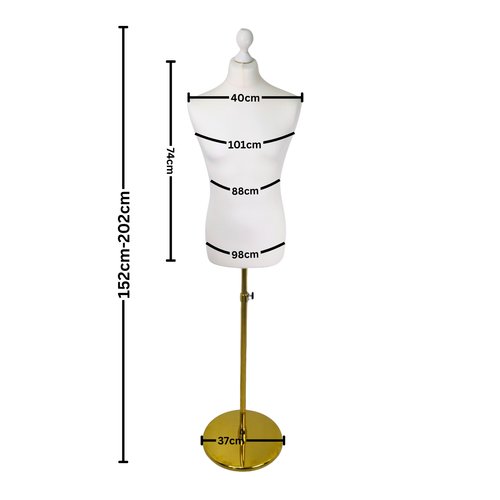 Male Display Bust Tailors Dummy – Adjustable Height, Cream Torso with Gold Base
