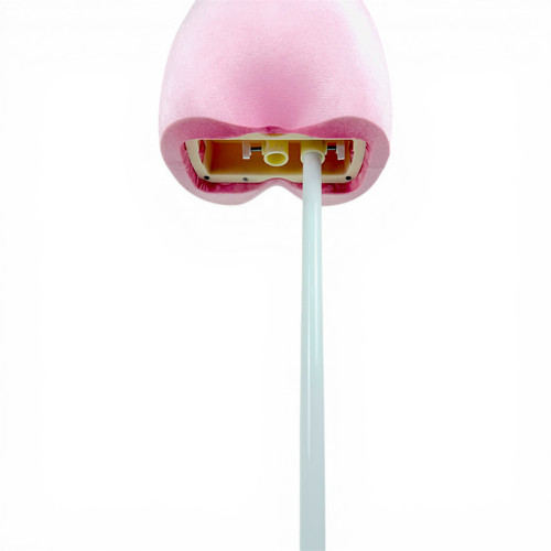 Premium Pink Velvet Female Plastic Torso with Adjustable Height Wooden Stand