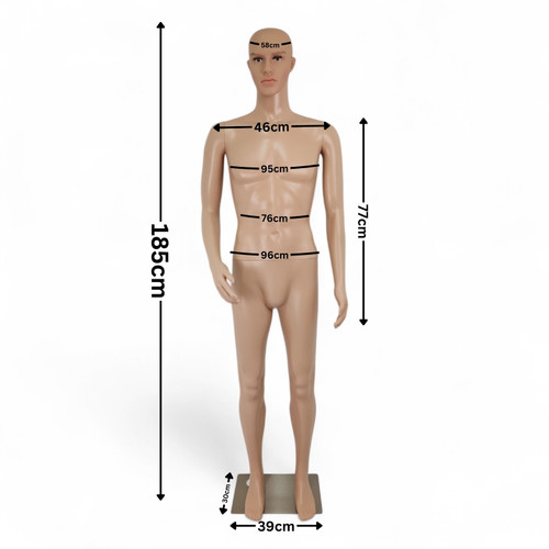 185cm Male Mannequin Full Body Display Dummy with Rotating Head & Movable Arms, dimension guide on a white background