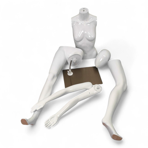 Glossy White Female Faceless Display Egg Head Mannequin, close product view on a white background