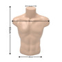 Skin Male Torso Bust Mannequin Upper Half Body Display for T-Shirts Jumpers etc (3), balanced, centred square layout
