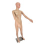 Male Mannequin Full Body Display Dummy with Rotating Head & Movable Arms-M2