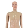 Male Mannequin Full Body Display Dummy with Rotating Head & Movable Arms-M2, full-height product view on a white background, gallery image 5 of 9