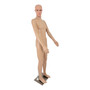 Male Mannequin Full Body Display Dummy with Rotating Head & Movable Arms-M4