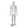 Male Mannequin – Egg Head – Chrome