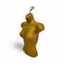 Gold Female Hanging Half Body Mannequin Form 660mm Matt Plastic Display Torso