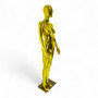 Female Faceless Display Egg Head Mannequin – Luxury Gold Retail Showcase