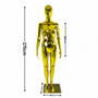 Female Faceless Display Egg Head Mannequin – Luxury Gold Retail Showcase