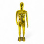 Male Faceless Glossy Gold Display Egg Head Mannequin, full-height product view on a white background
