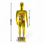 Male Faceless Glossy Gold Display Egg Head Mannequin – Luxury Retail Showcase