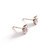 Ear Studs Earrings Diamond White Gold
