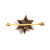 Antique Star Rose Cut Diamond Brooch