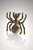 18KY Nazca Line Spider Brooch with Black Diamonds and Black Mica