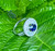 Elegant 4.04 Carat Sapphire and Diamond Ballerina Design White Gold Ring