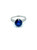 4.07 Carat Round Sapphire and Diamond Platinum Engagement Ring