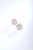 Diamond on Rose Gold Stud Earrings