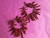 Coral Branch Fringe Coral Earrings 18 Karat Gold