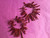 Coral Branch Fringe Coral Earrings 18 Karat Gold