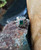 Emerald with Diamond Ring Set in 18 Karat White Gold Settings