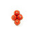 14K Yellow Gold Red Coral Ring and Earrings, Jewelry Set