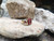 Ruby with Diamond and Cabochon Ruby Ring Set in 18 Karat Gold Settings