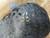 Lemon Quartz with Diamond Earrings Set in 18 Karat White Gold Settings