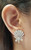 Diamond Earrings Set in 18 Karat Gold Settings