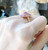 Pink Sapphire with Diamond Ring Set in 18 Karat Rose Gold Settings