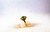 Art Deco Style 1.15 Carat White Diamond Emerald Yellow Gold Cocktail Ring