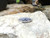 Blue Sapphire with Diamond Brooch Set in 18 Karat White Gold Settings