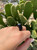1.1 Carat Marquise Shape Diamond and Black Onyx Signet Solitaire Ring