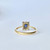 Art Deco 18 Carat Gold and Platinum Sapphire and Diamond Panel Ring