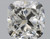 Cushion 1.5 I SI1 - #67243