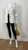 Yves Saint Laurent White Cotton Classic Jacket