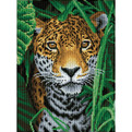 Jaguar Jungle 30 x 40 cm  έτοιμο να κρεμαστεί - Diamond Paintings