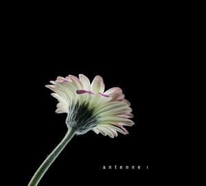 Antenne - #1 (NORDSØ)