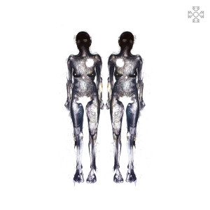 Monkey Okay - The Long Haul Of Cercopithecoidea (NORDSØ)