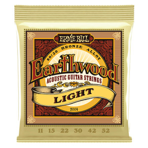 Ernie Ball - 2004 Earthwood Light Ernie Ball - 2004 Earthwood Light