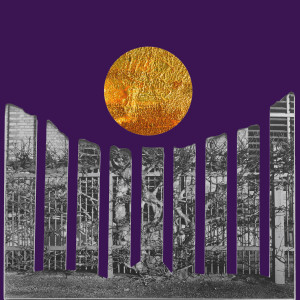 Morten Skou Andersen & De Mennesker Han Normalt Sammenligner Sig Med - Boligindretning (NORDSØ)