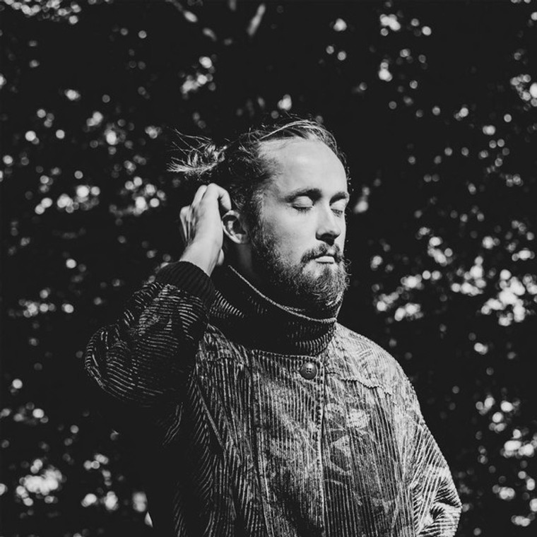 Takvinge - Nymphalidae (NORDSØ)