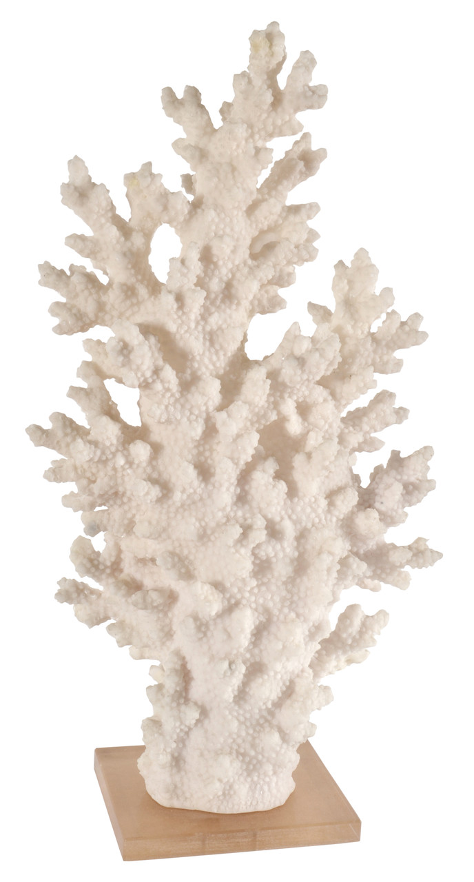 White Coral with Acrylic Base Tall - World of Decor